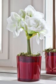 Amaryllis aus Textilfasern